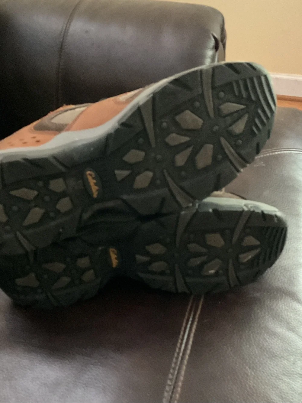 Cabelas 115 sturdy